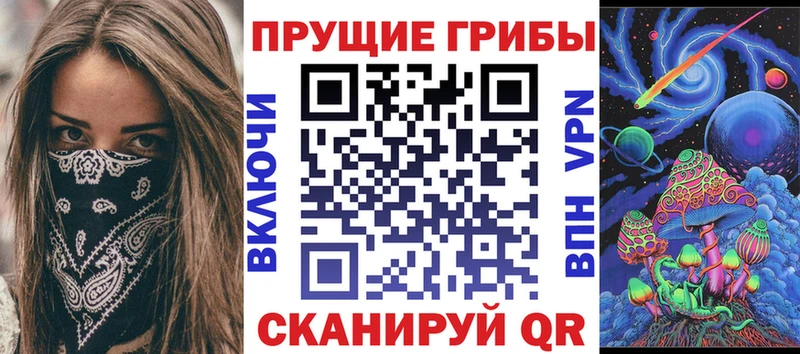 магазин продажи наркотиков  Кондрово  Галлюциногенные грибы прущие грибы 